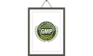 GMP Certificate