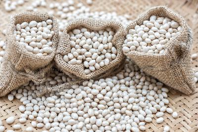 salata-fasole-alba-anghinare.jpg salata-fasole-alba-anghinare.jpg