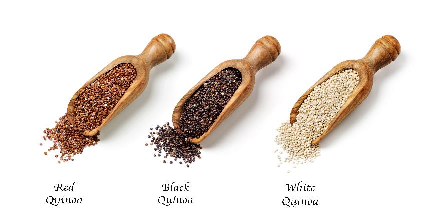quinoa-protein.jpg quinoa-protein.jpg